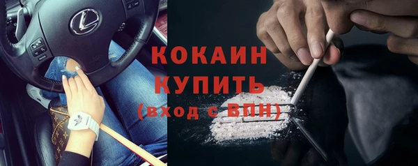 гидра Пересвет