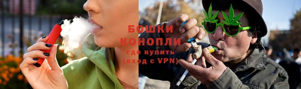 гидра Пересвет