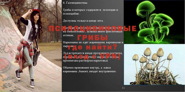 гидра Пересвет
