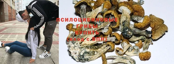 прущие крисы Дедовск