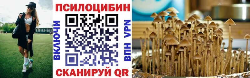блэк спрут маркетплейс  Приволжск  Галлюциногенные грибы мухоморы  где купить наркоту 